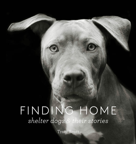 Book cover of: Finding Home. By: Traer Scott