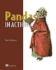 Book cover of: Pandas In Action. By: BORIS PASKHOVER