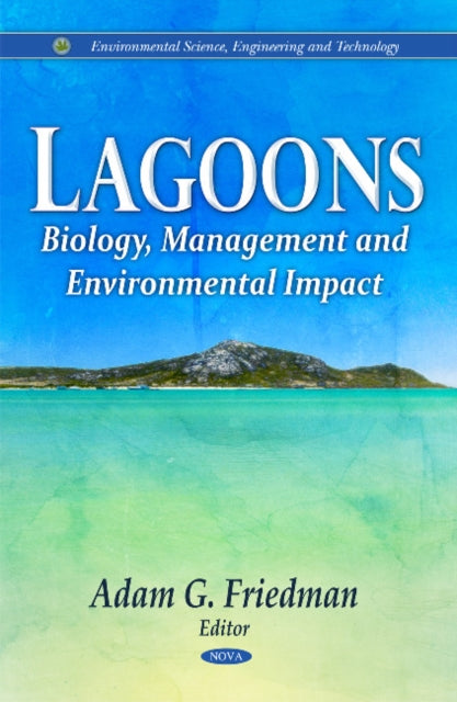 Book cover of: Lagoons. By: Adam G. Friedman