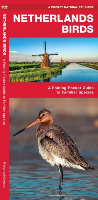Book cover of: Netherlands Birds. By: James Kavanagh