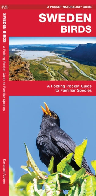 Book cover of: Sweden Birds. By: James Kavanagh