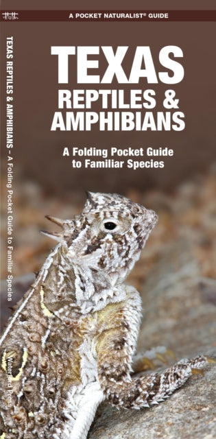 Book cover of: Texas Reptiles & Amphibians. By: James Kavanagh