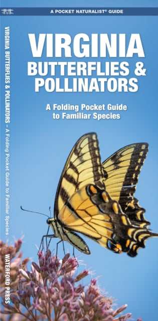 Book cover of: Virginia Butterflies & Pollinators. By: James Kavanagh