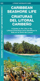Book cover of: Caribbean Seashore Life (Criaturas del Litoral Caribeno)