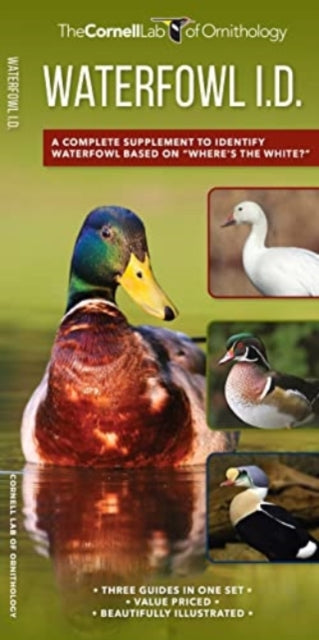 Book cover of: Waterfowl Id Set. By: Kevin J. McGowan