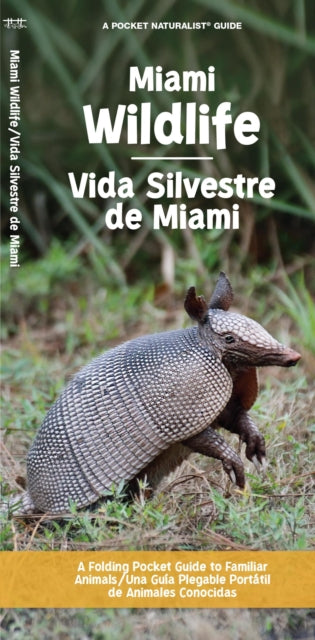 Book cover of: Miami Wildlife/Vida Silvestre de Miami. By: Waterford Press