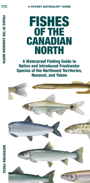 Book cover of: Fishes of the Canadian North. By: Waterford Press
