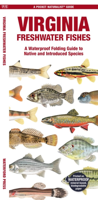 Book cover of: Virginia Freshwater Fishes. By: Waterford Press Staff