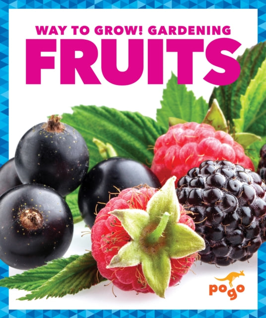 Book cover of: Fruits. By: Rebecca Pettiford