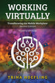Book cover of: Working Virtually. By: Trina Hoefling