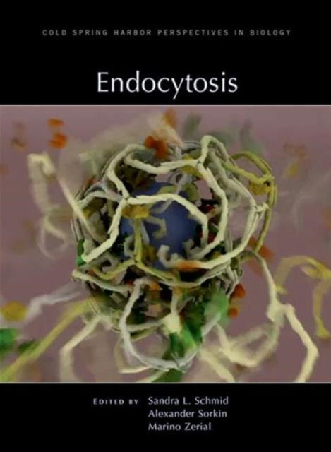 Book cover of: Endocytosis. By: Sandra L. Schmid