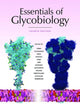 Book cover of: Essentials of Glycobiology, Fourth Edition. By: Ajit Varki