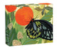 Book cover of: Butterflies QuickNotes. By: STADTLANDER
