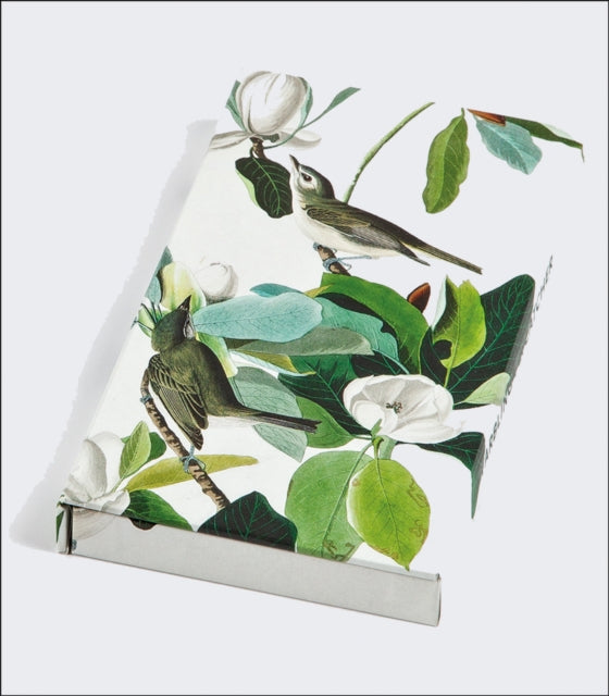 Book cover of: Warbling Flycatcher, James Audubon 8-Pen Set
