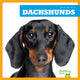 Book cover of: Dachshunds. By: Kaitlyn Duling