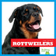 Book cover of: Rottweilers. By: Nadia Higgins