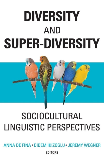 Book cover of: Diversity and Super-Diversity