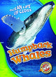 Book cover of: Humpback Whales. By: Christina Leaf