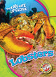 Book cover of: Lobsters. By: Heather Adamson