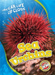 Book cover of: Sea Urchins. By: Heather Adamson