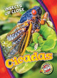 Book cover of: Cicadas. By: Christina Leaf