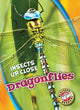 Book cover of: Dragonflies. By: Patrick Perish