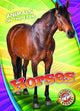Book cover of: Horses. By: Christina Leighton