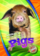 Book cover of: Pigs. By: Christina Leighton