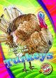 Book cover of: Turkeys. By: Kari Schuetz