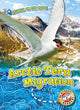 Book cover of: Arctic Tern Migration. By: Kari Schuetz