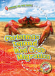 Book cover of: Christmas Island Red Crab Migration. By: Kari Schuetz
