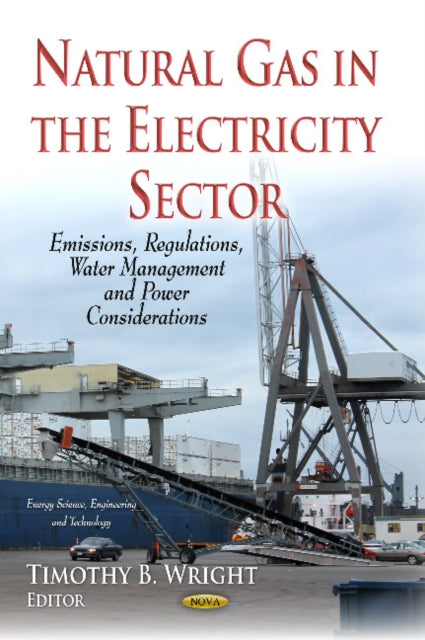 Book cover of: Natural Gas in the Electricity Sector