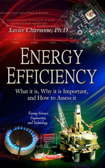Book cover of: Energy Efficiency. By: Xavier Chavanne