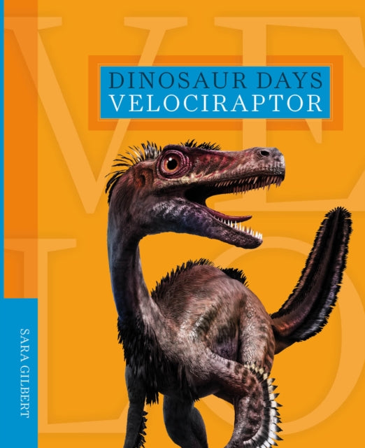 Book cover of: Dinosaur Days: Velociraptor. By: Sara Gilbert