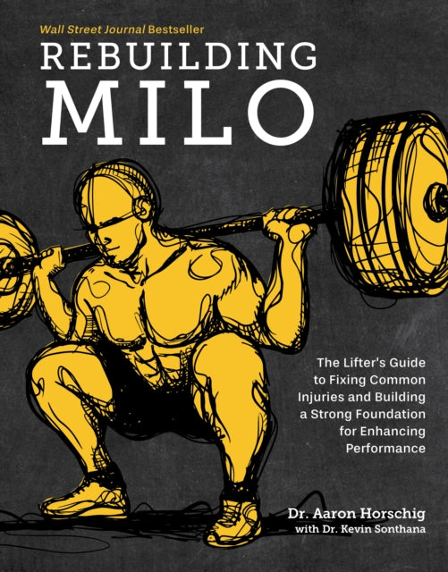 Book cover of: Rebuilding Milo. By: Aaron Horschig