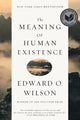 Meaning of Human Existence