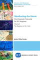 Book cover of: Weathering the Storm. By: Javier Villar Burke