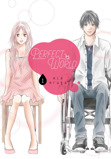Book cover of: Perfect World 1. By: Rie Aruga