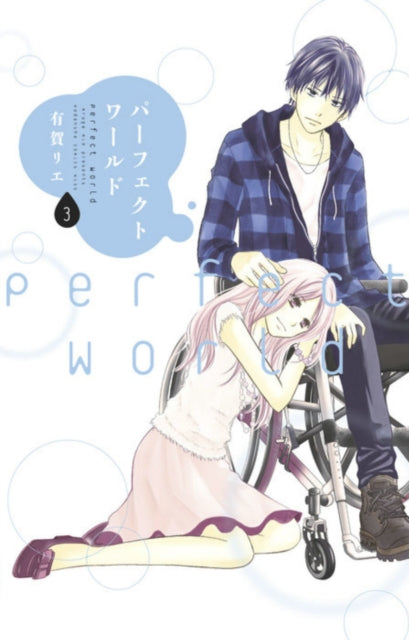 Book cover of: Perfect World 3. By: Rie Aruga