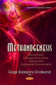 Book cover of: Methanogenesis. By: Gagik Badalians Gholikandi