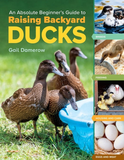 Book cover of: Absolute Beginner's Guide to Raising Backyard Ducks. By: Gail Damerow