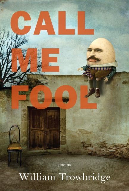 Book cover of: Call Me Fool. By: Bill Trowbridge