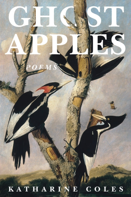 Book cover of: Ghost Apples. By: Katharine Coles