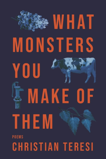 Book cover of: What Monsters You Make of Them. By: Christian Teresi