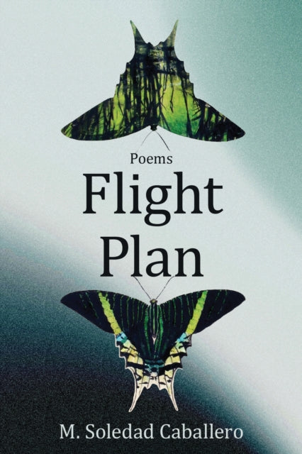 Book cover of: Flight Plan. By: M. Soledad Caballero