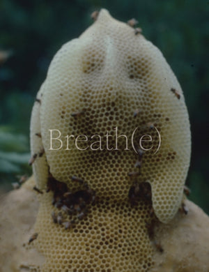 Breath(e): Toward Climate and Social Justice