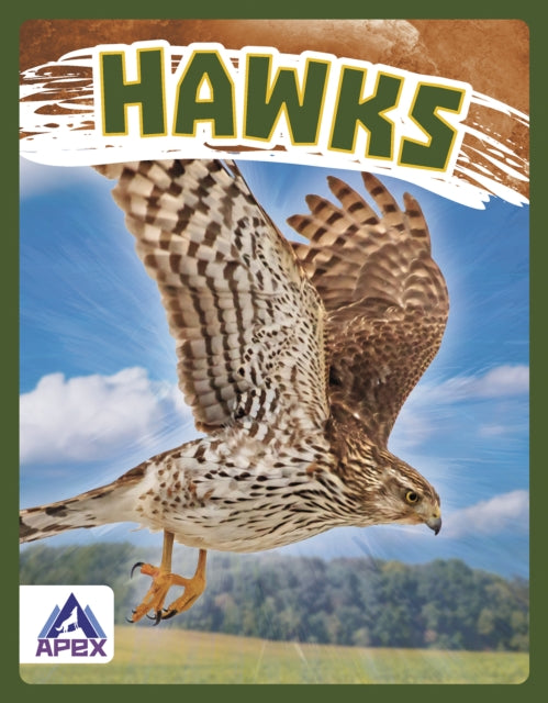 Book cover of: Hawks. By: Megan Gendell