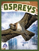 Book cover of: Ospreys. By: Connor Stratton