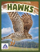 Book cover of: Hawks. By: Megan Gendell