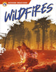 Book cover of: Wildfires. By: Candice Ransom